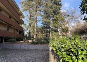 Giardino - Appartamento via Bruno Parisio, 28, Bologna (zona Murri) - foto 23