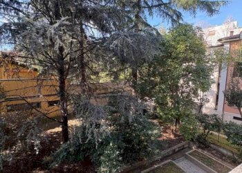Giardino - Appartamento via Bruno Parisio, 28, Bologna (zona Murri) - foto 24