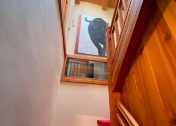 Scala - Apartment via Frejus, Bardonecchia - photo 25