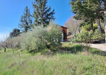 7.jpg - Casa indipendente Civitella Casanova - foto 7