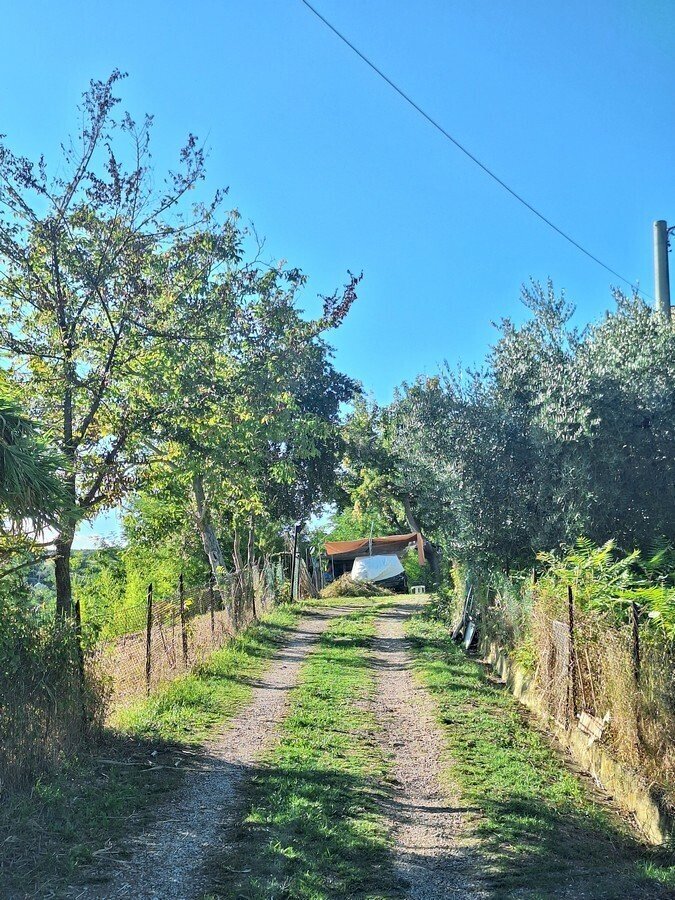 1.jpg - Casa indipendente Penne - foto 1