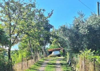1.jpg - Casa indipendente Penne - foto 1