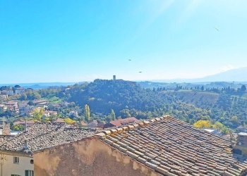 16.jpg - Apartment Penne - photo 16