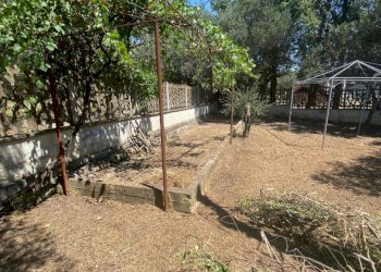 18.jpg - Casa indipendente Loreto Aprutino - foto 18