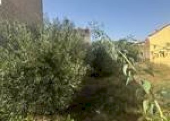 Terreno edificabile Guspini - foto 7