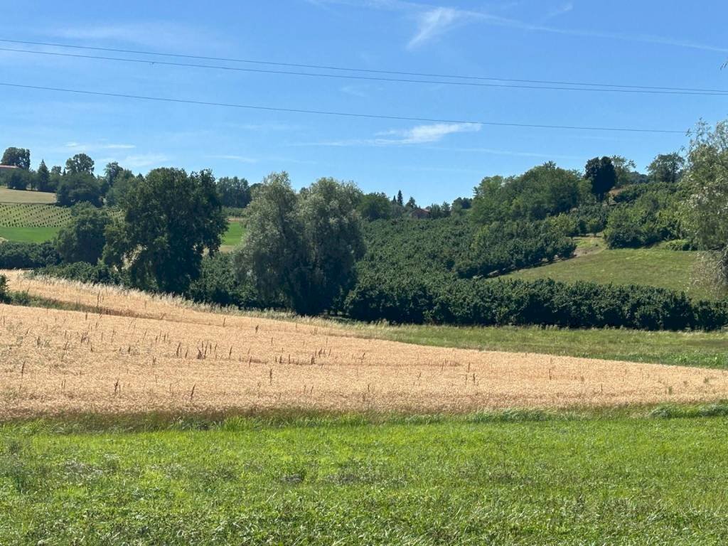 Terreno agricolo via Statale 28, Vicoforte - foto 1