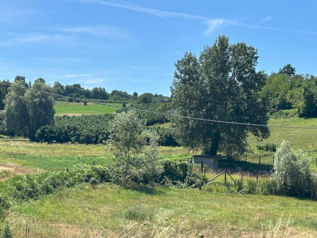 Terreno agricolo via Statale 28, Vicoforte - foto 2
