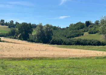 Terreno agricolo via Statale 28, Vicoforte - foto 1