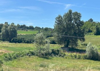 Terreno agricolo via Statale 28, Vicoforte - foto 2