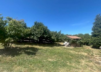 Terreno agricolo via Statale 28, Vicoforte - foto 4