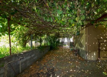 Giardino - Appartamento Via Alessandria
 
24, San Giovanni la Punta - foto 7