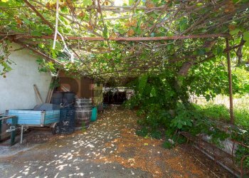 Giardino - Appartamento Via Alessandria
 
24, San Giovanni la Punta - foto 9