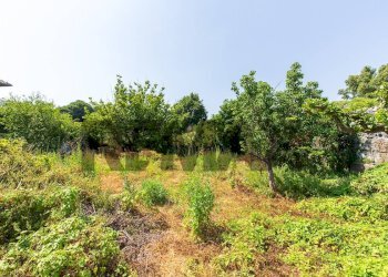 Giardino - Appartamento Via Alessandria
 
24, San Giovanni la Punta - foto 15