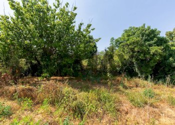 Giardino - Appartamento Via Alessandria
 
24, San Giovanni la Punta - foto 20