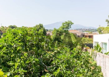 Giardino - Appartamento Via Alessandria
 
24, San Giovanni la Punta - foto 57