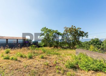 Giardino - Terreno edificabile Via Vidalba
11, Castiglione di Sicilia - foto 6