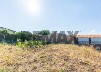 Giardino - Terreno edificabile Via Vidalba
11, Castiglione di Sicilia - foto 9