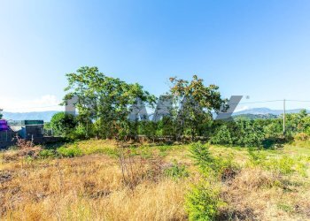 Giardino - Terreno edificabile Via Vidalba
11, Castiglione di Sicilia - foto 15