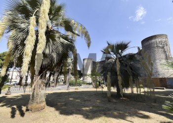 Edificio all\'aperto - Commercial Activity Via Riccardo da Lentini
9, Catania - photo 28