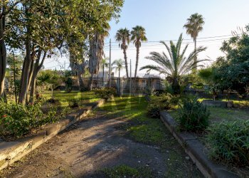 Giardino - Villa Via III Traversa
 
6, Mascali - foto 10