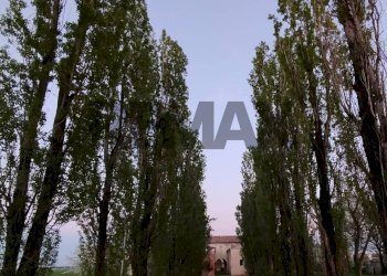 Giardino - Stable - Palace VIA ROMA
 
90, Castel d'Ario - photo 19