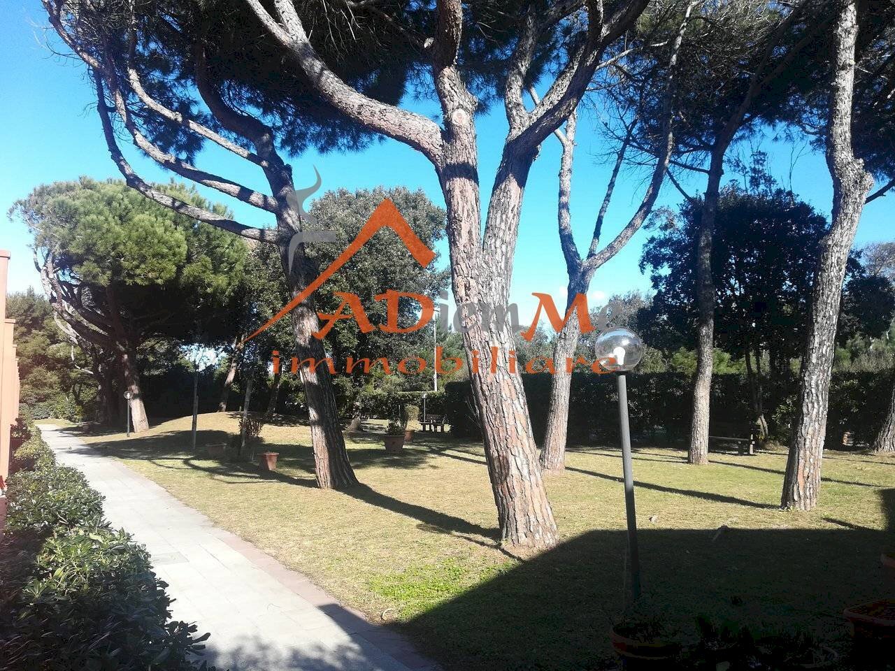 Foto 2 - Bilocale Via Litoranea, Pisa - foto 2