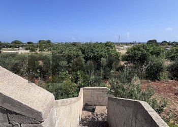 Vista delle montagne - Rustico CONTRADA MORGICCHIO
 
SN, Carovigno - foto 10
