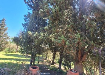 Foto 69 - Villa località Somboli
 
210, Monte San Savino - foto 69