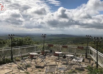 Foto 110 - Villa località Somboli
 
210, Monte San Savino - foto 110
