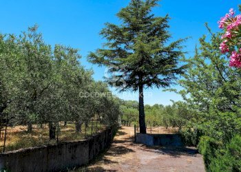 Foto 7 - Villa Contrada Sciaramanica, Linguaglossa - foto 7