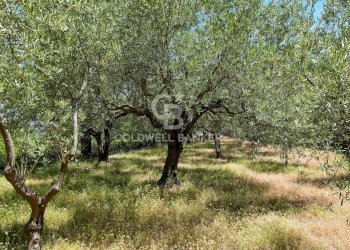 Foto 9 - Villa Contrada Sciaramanica, Linguaglossa - foto 9
