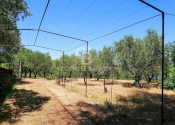 Foto 14 - Villa Contrada Sciaramanica, Linguaglossa - foto 14