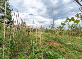Semi-detached house Via montelera, Varisella - photo 23