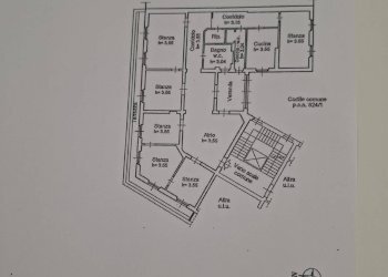 Foto 1 - Appartamento piazza Guglielmo Oberdan, Trieste - foto 1
