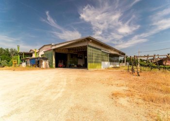 Shed Baldichieri d'Asti, AT, Baldichieri d'Asti - photo 47