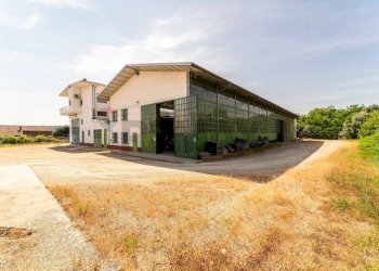 Shed Baldichieri d'Asti, AT, Baldichieri d'Asti - photo 52