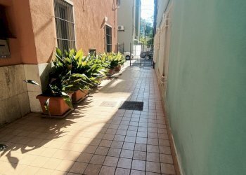 DILEOIMMOBILIARE APPARTAMENTO PIANO TERRA IN AFFIT - Appartamento San Benedetto del Tronto - foto 12