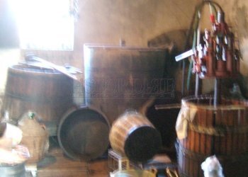 DSCF8298.JPG - Rustico Via Marco Polo 87/c, Mestrino - foto 3