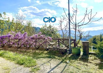 IMG_4983 - Villa Camugnano - foto 17