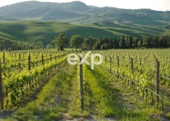 Villa Montepulciano - photo 6