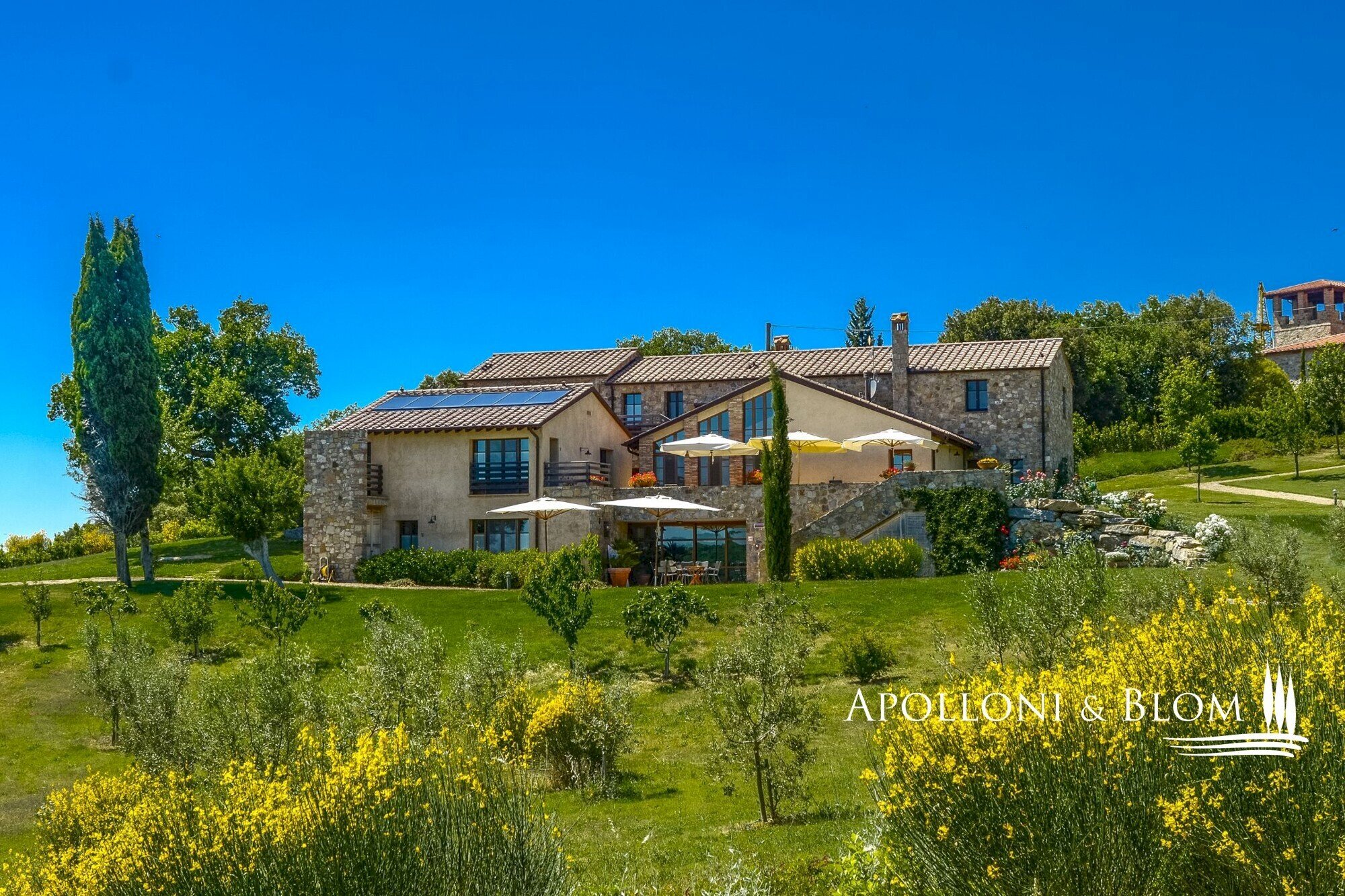 Single Family Villa Via Dante Alighieri, 6, Cinigiano - photo 2