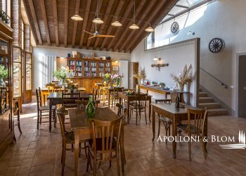 Villa Unifamiliare Via Dante Alighieri, 6, Cinigiano - foto 6