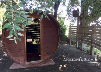 Villa Unifamiliare Via Dante Alighieri, 6, Cinigiano - foto 44