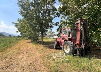 Rustico Via Alfieri, Rivalta di Torino - foto 6