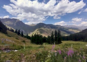 Baita Saint-Rhémy-en-Bosses - photo 10