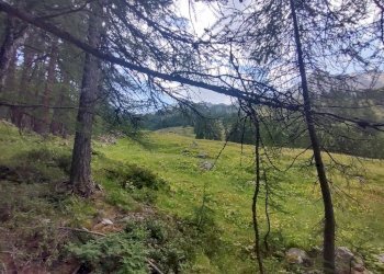 Baita Saint-Rhémy-en-Bosses - photo 15