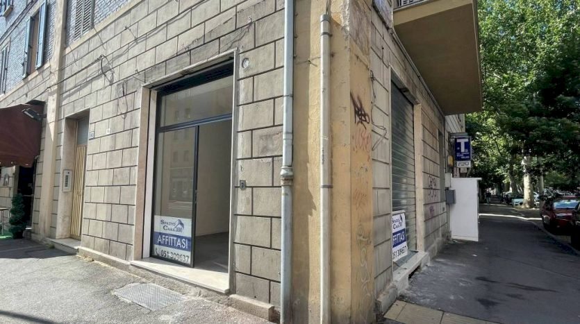 Attività Commerciale Bologna - foto 2