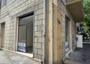 Attività Commerciale Bologna - foto 2