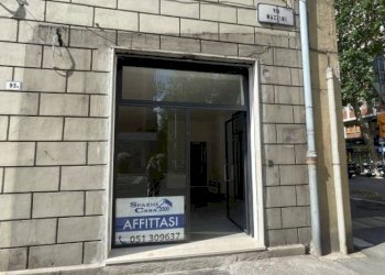 Attività Commerciale Bologna - foto 3