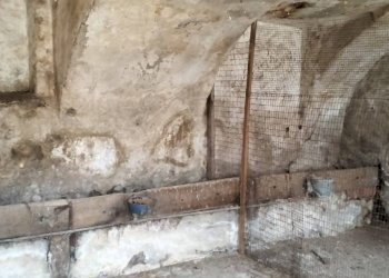 Rustic Via Tarantasca, Busca - photo 19